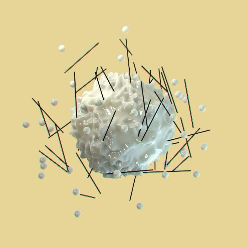 Portfolio Video Shots - Uncode